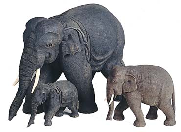 Group of three elephants